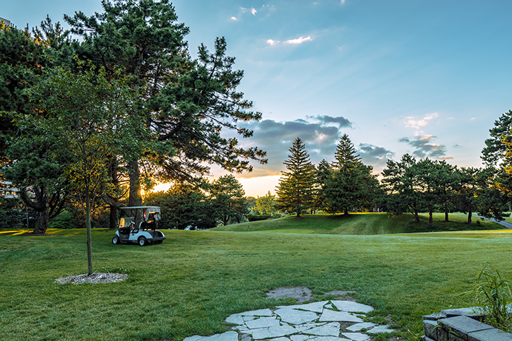 Golf Cart